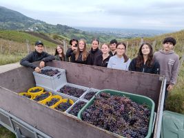 Streuobstwiese im Glas - erfolgreiches Wirtschaftsprojekt 